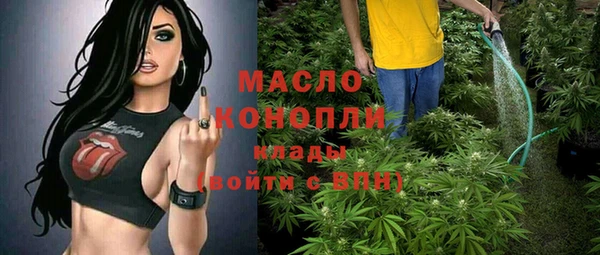 шишки Болотное