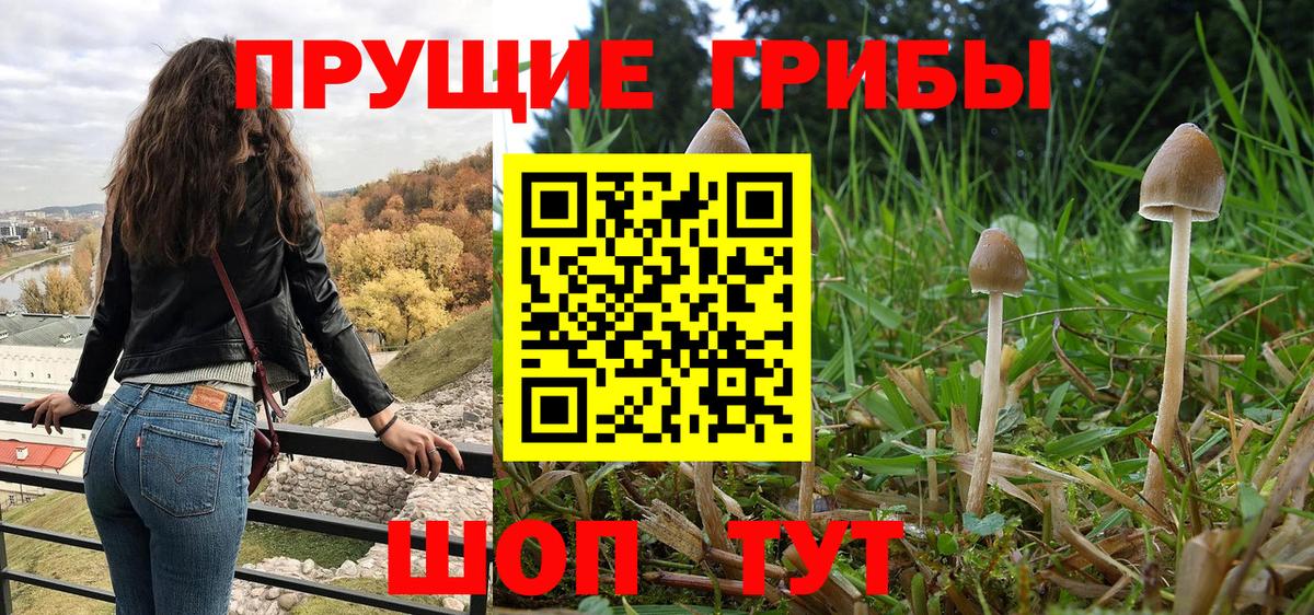 Галлюциногенные грибы Magic Shrooms Златоуст